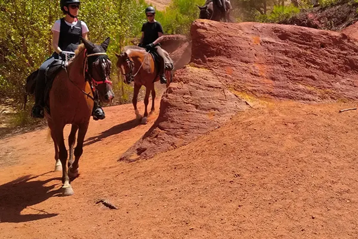 Activiteiten Aktivitäten - Gites et maison de vacances