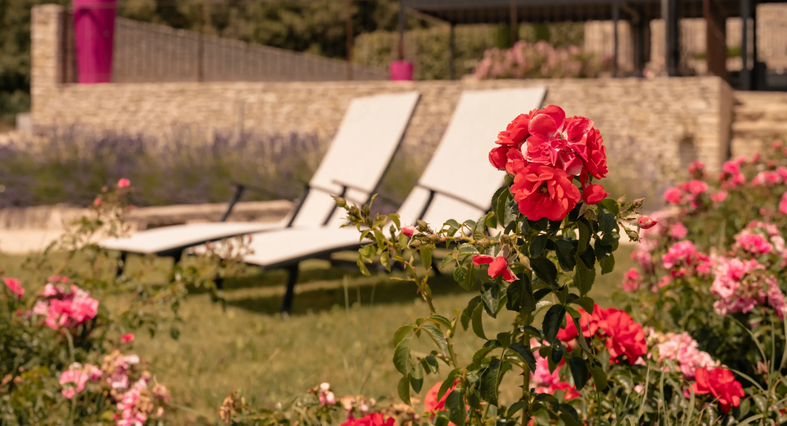 Photos - Gites et maison de vacances