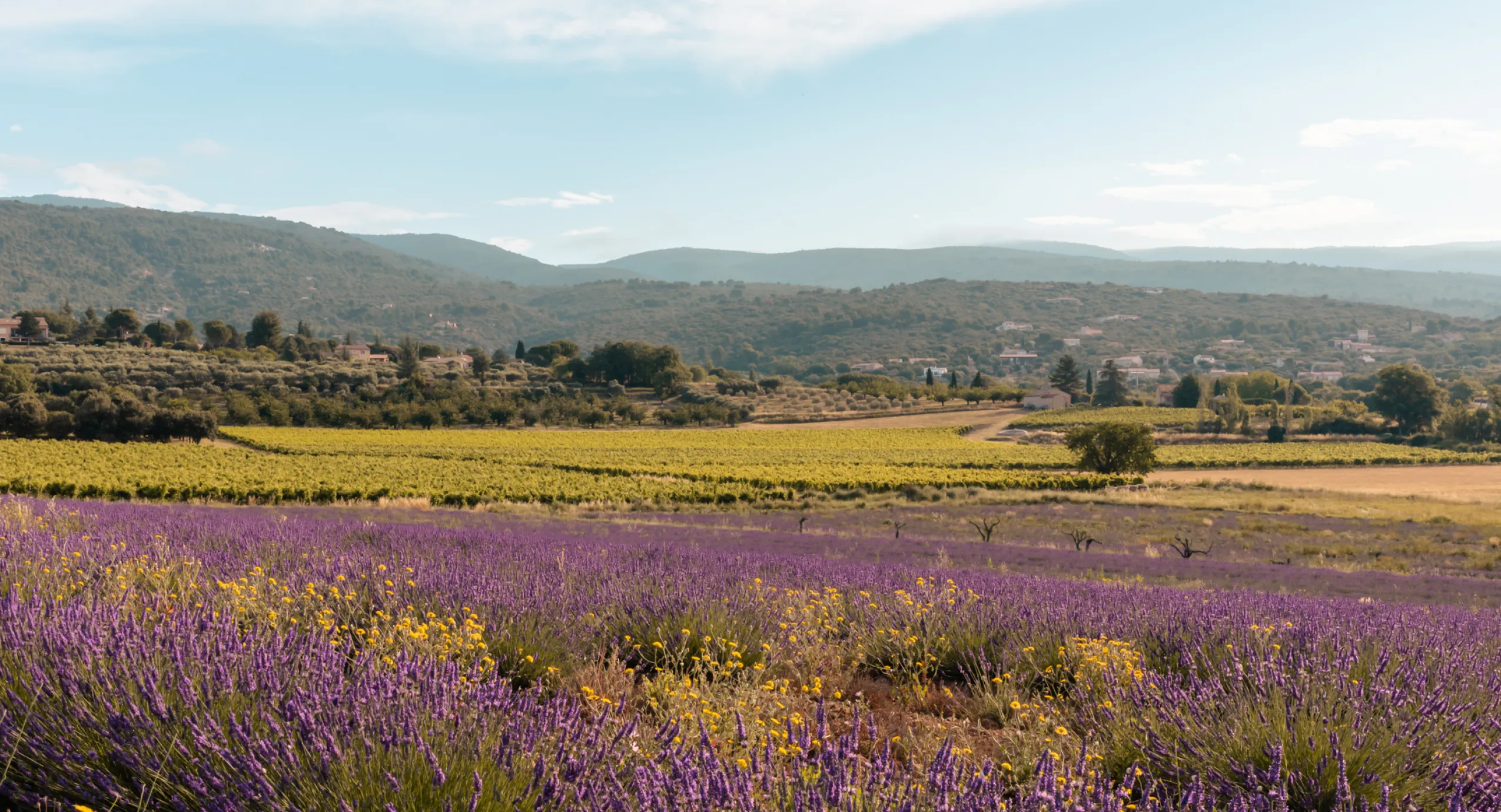 Photos - Gites et maison de vacances