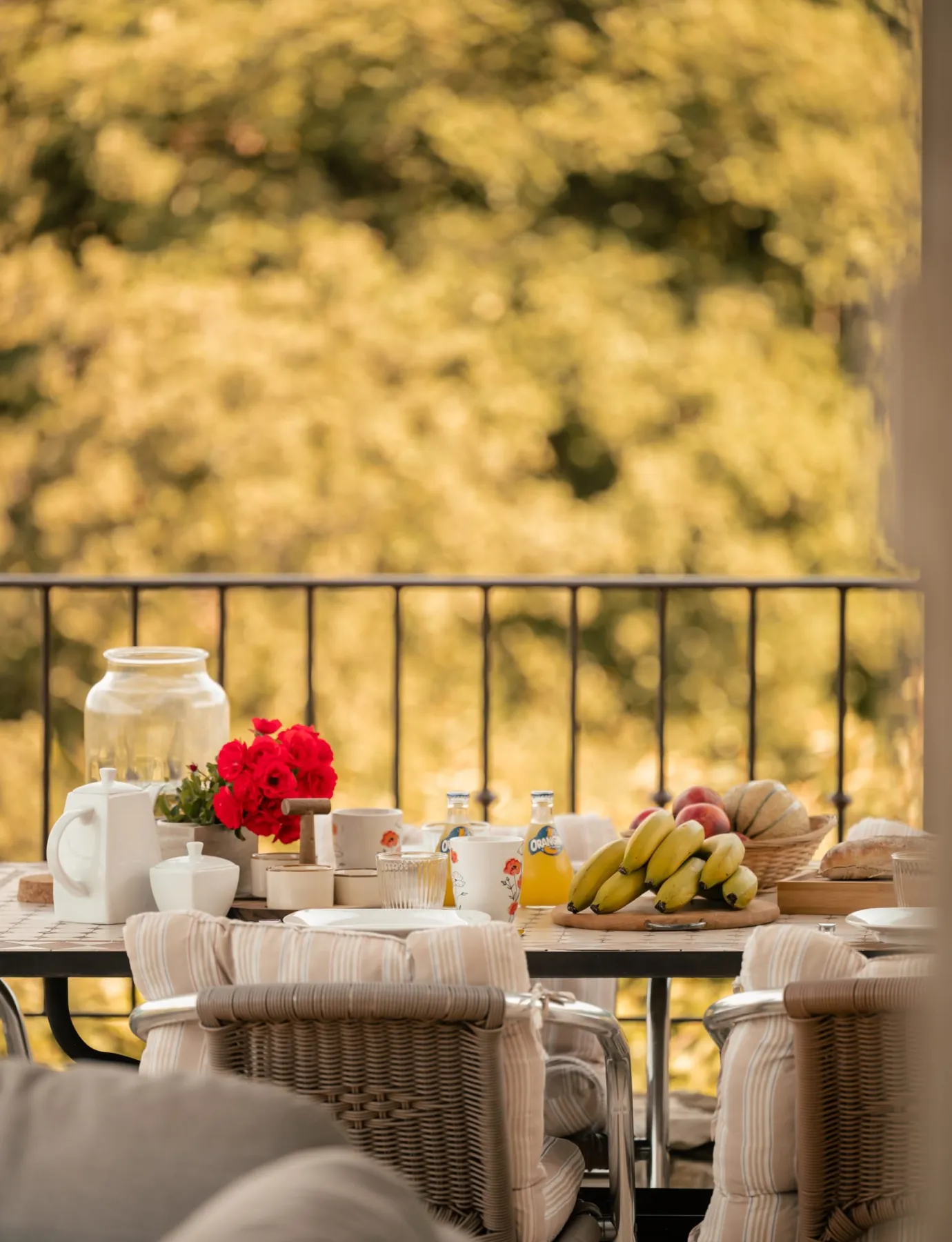 Photos - Gites et maison de vacances